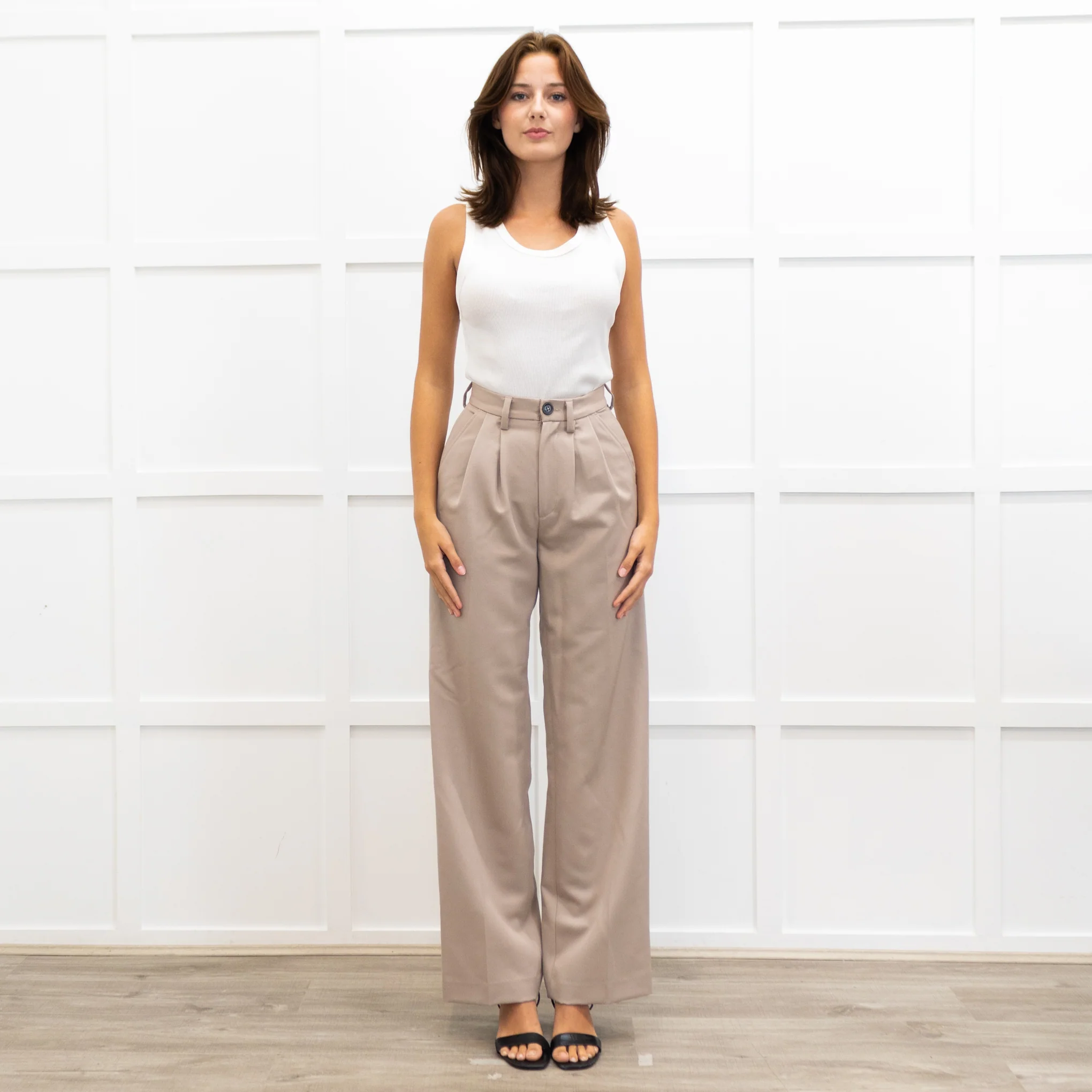 Anine Bing Taupe Brown Pleated Front Wide Leg Trousers