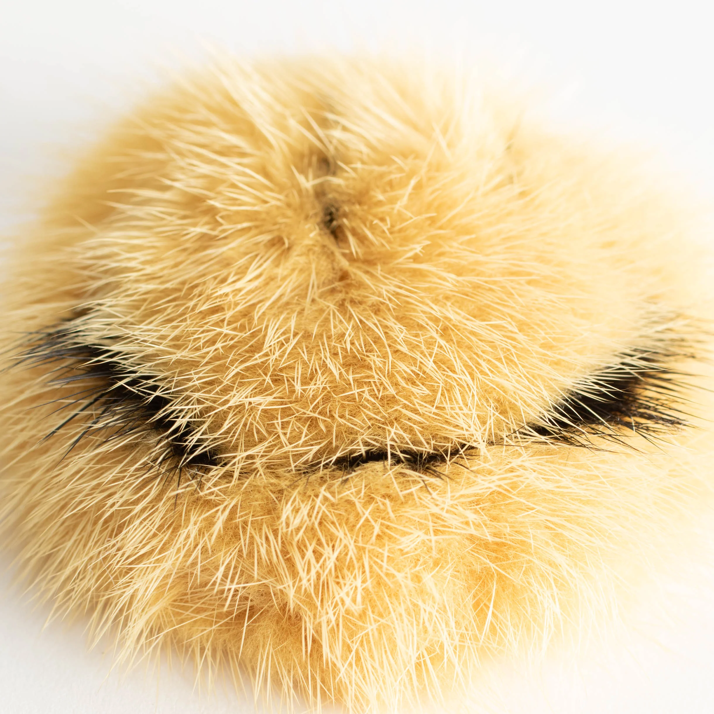 Anya Hindmarch Mustard Smiley Bag Sticker (Boxed) - Image 5