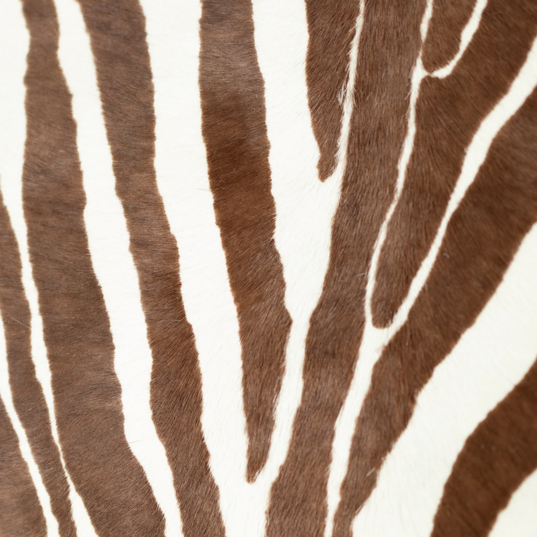 Anya Hindmarch Zebra Print Calf Leather mortimer Large Tote - Image 9