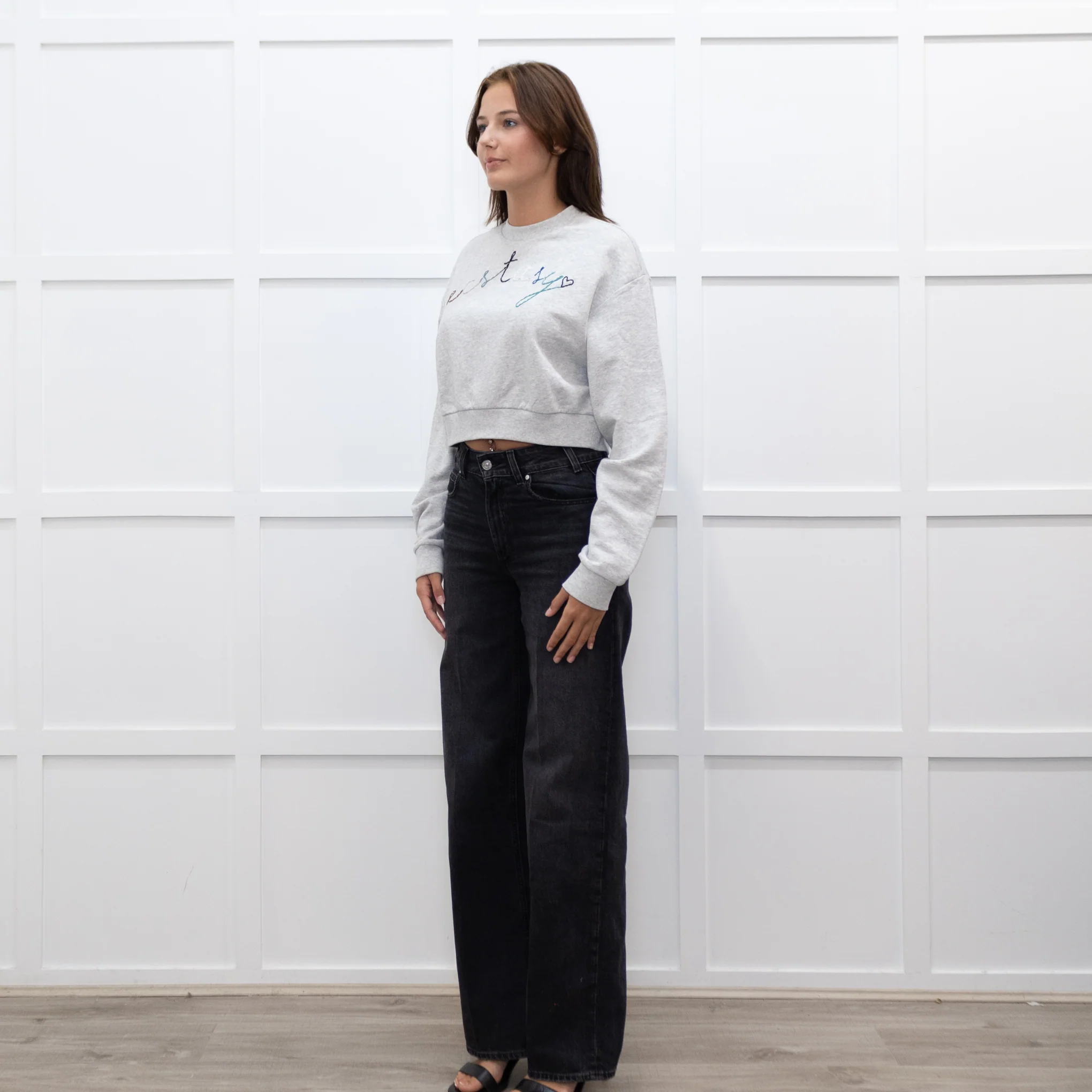 A.P.C Grey Ecstasy Embroidery Motif Cropped Sweatshirt - Image 3