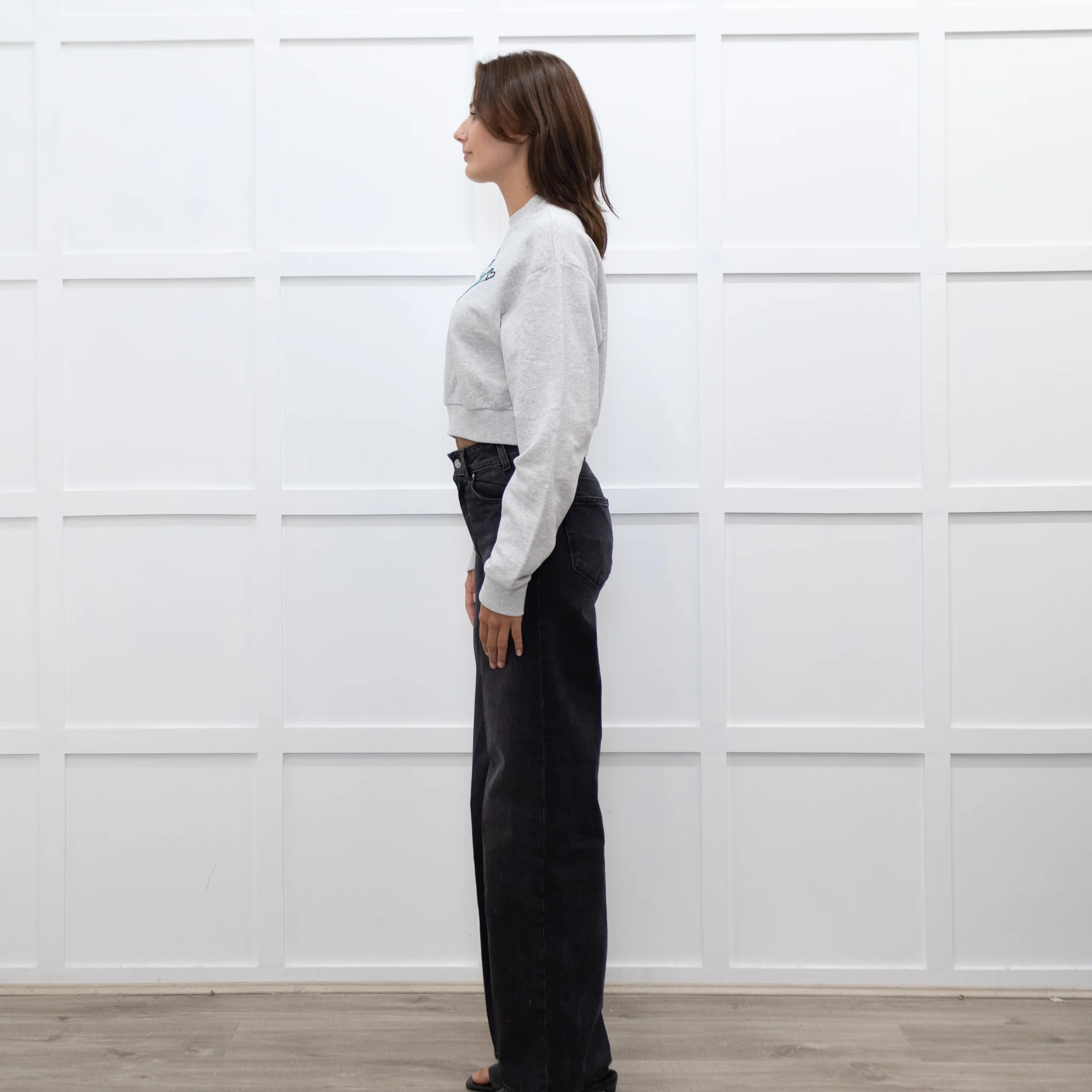 A.P.C Grey Ecstasy Embroidery Motif Cropped Sweatshirt - Image 4