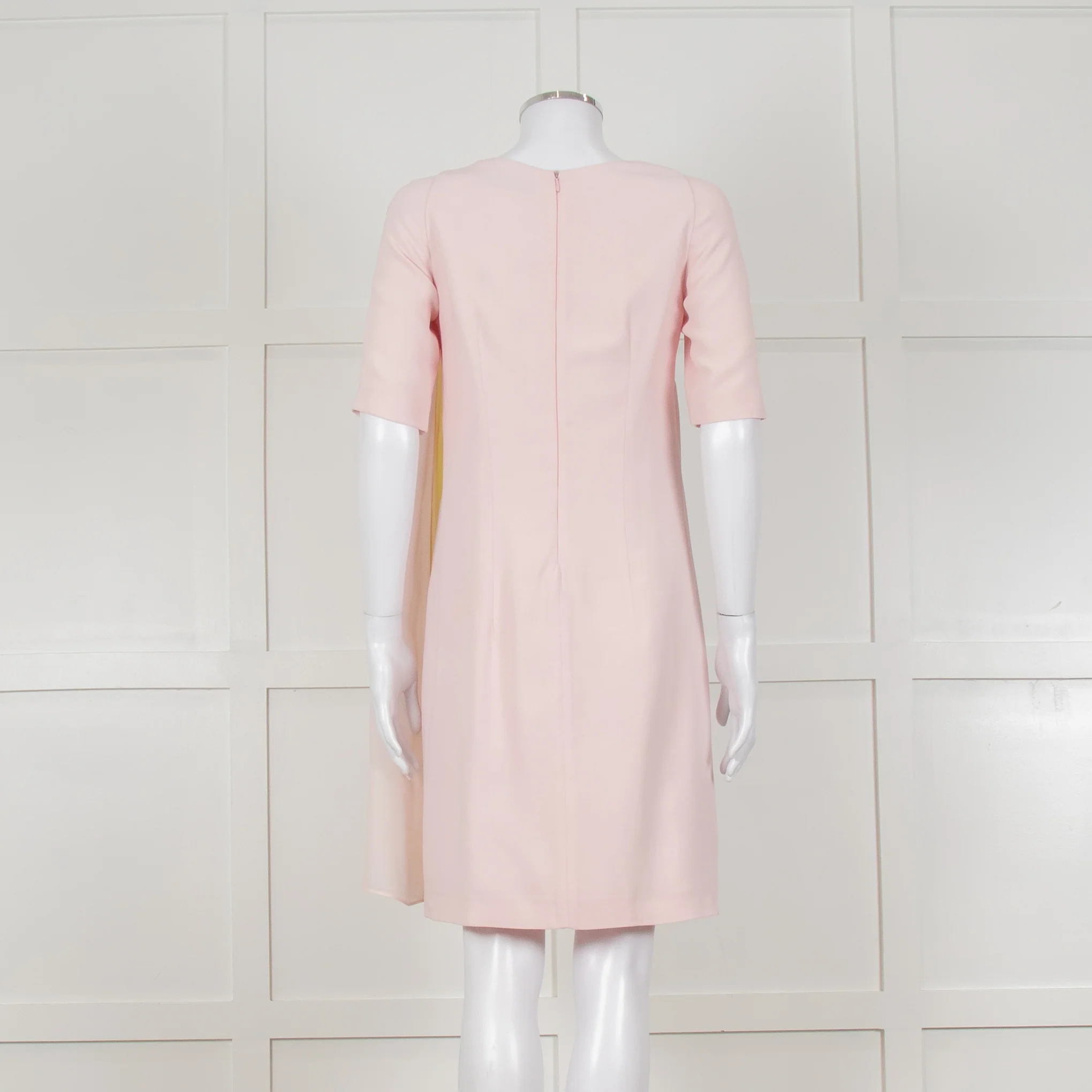 D Exterior Pink Dress With Yellow Pleated Insert - Image 5