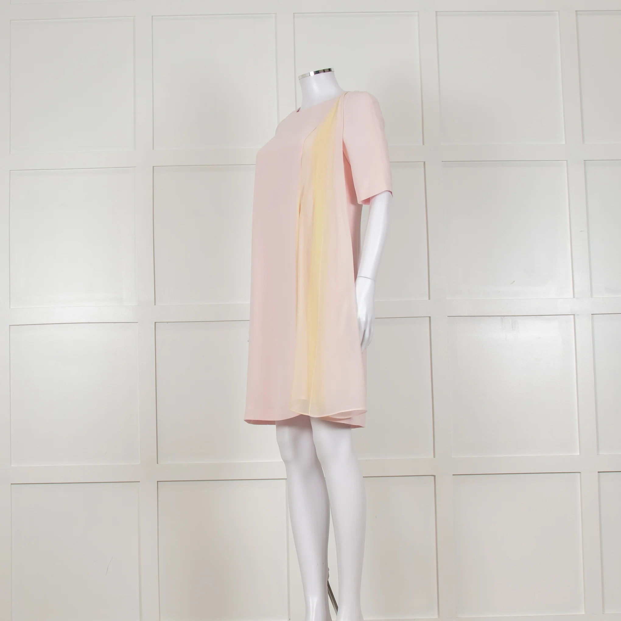 D Exterior Pink Dress With Yellow Pleated Insert - Image 7