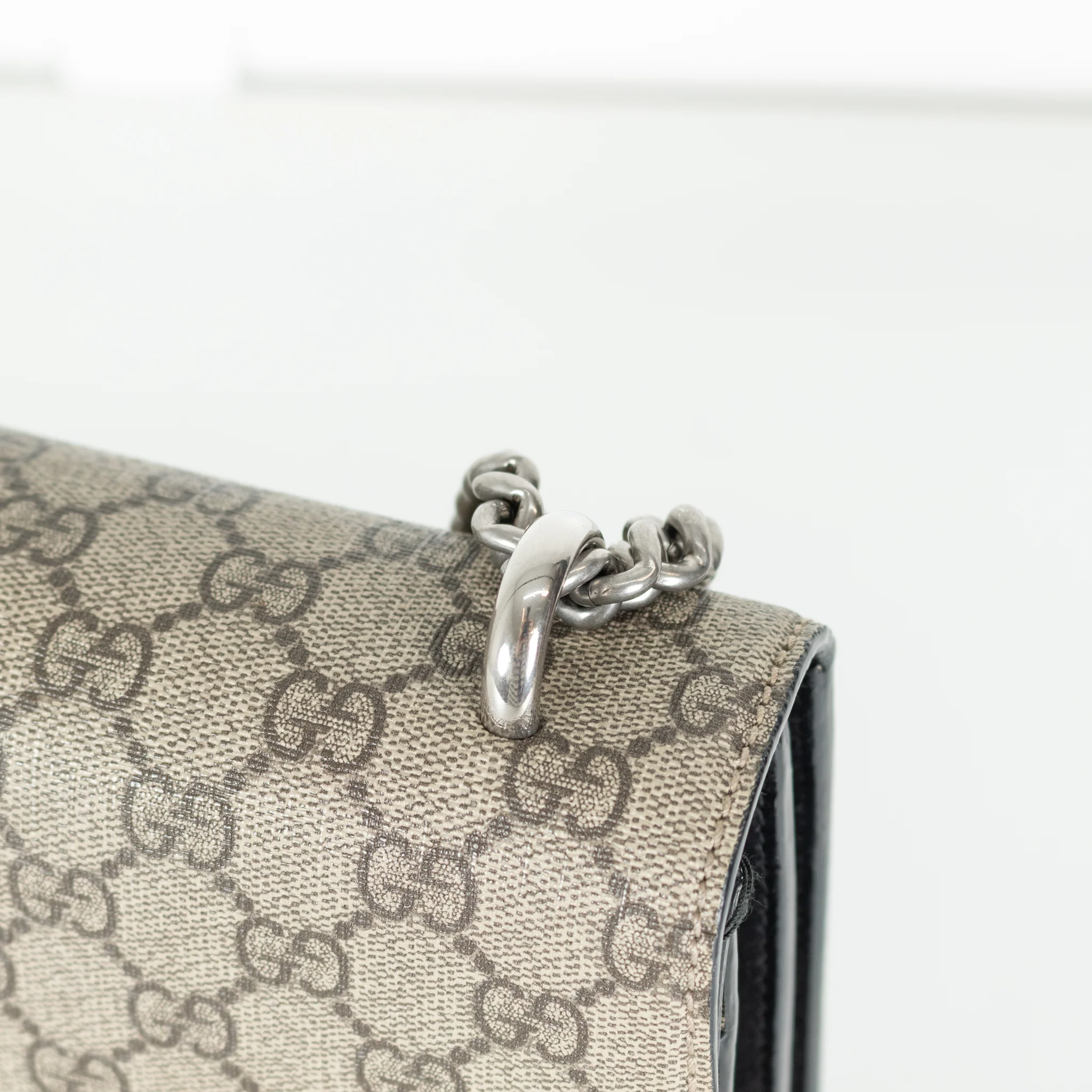 Gucci Dionysus Medium Taupe Bag - Image 11