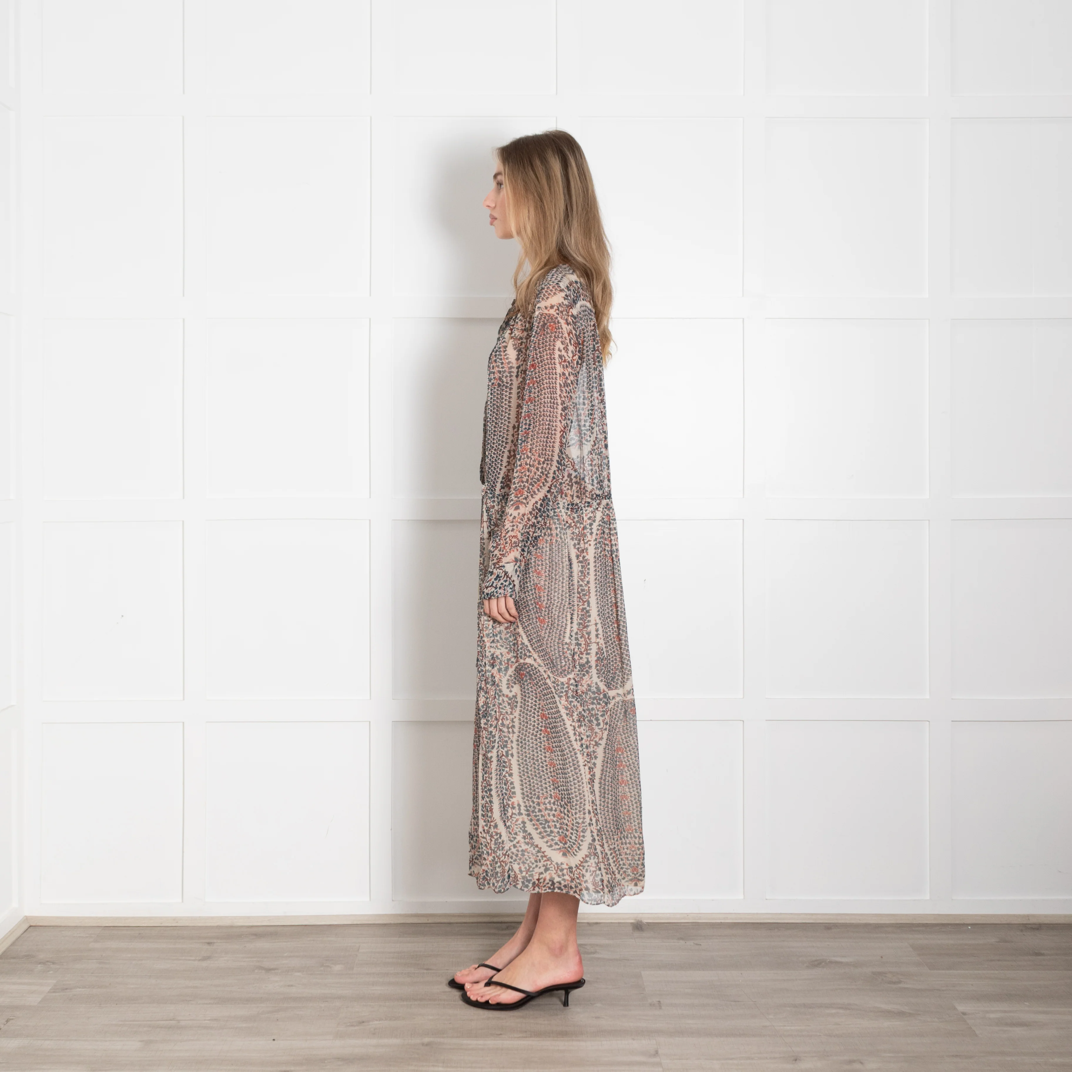 Isabel Marant Etoile Cream Green Floral Sheer Midi Dress - Image 4