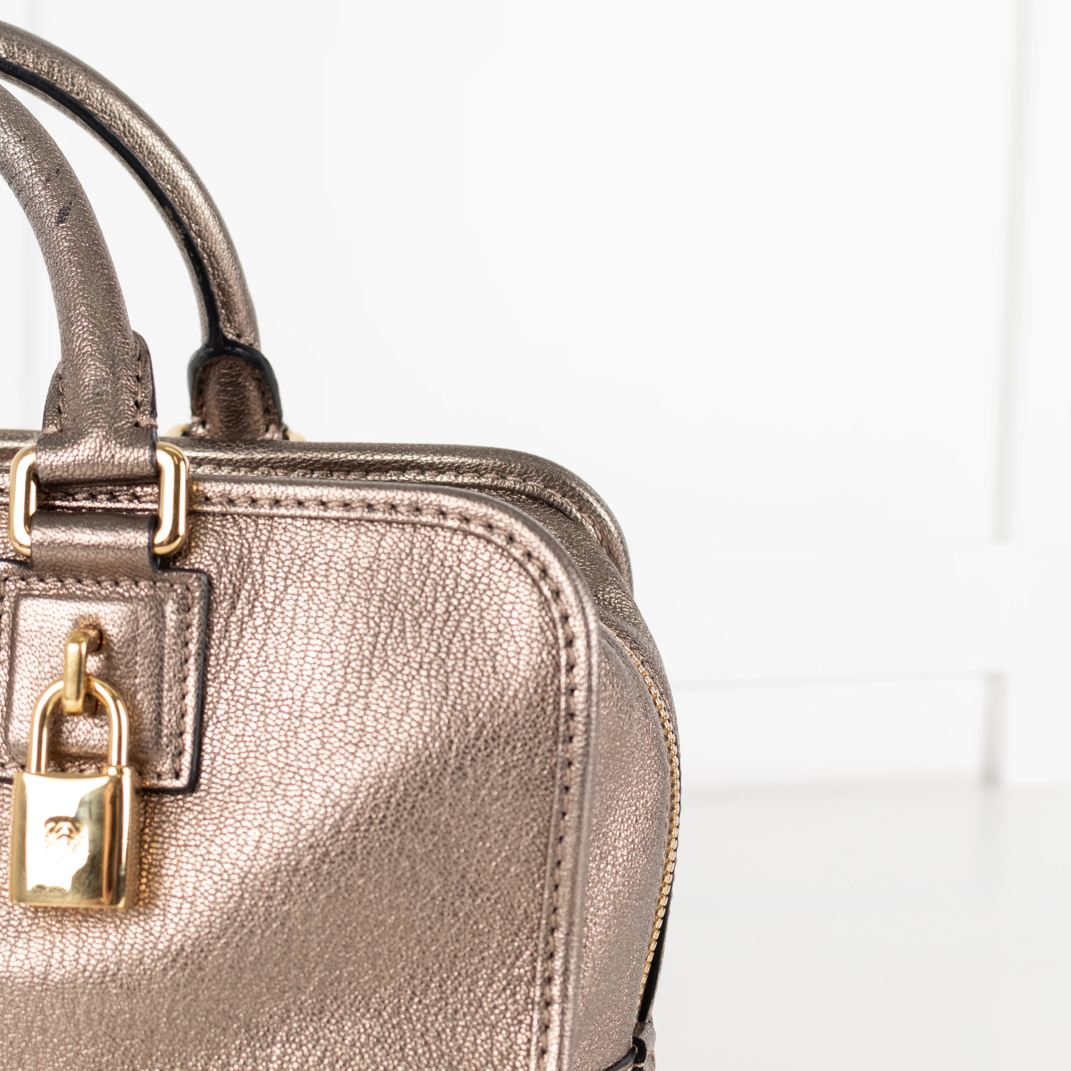 Loewe Gold Tone Amazona Bag - Image 11