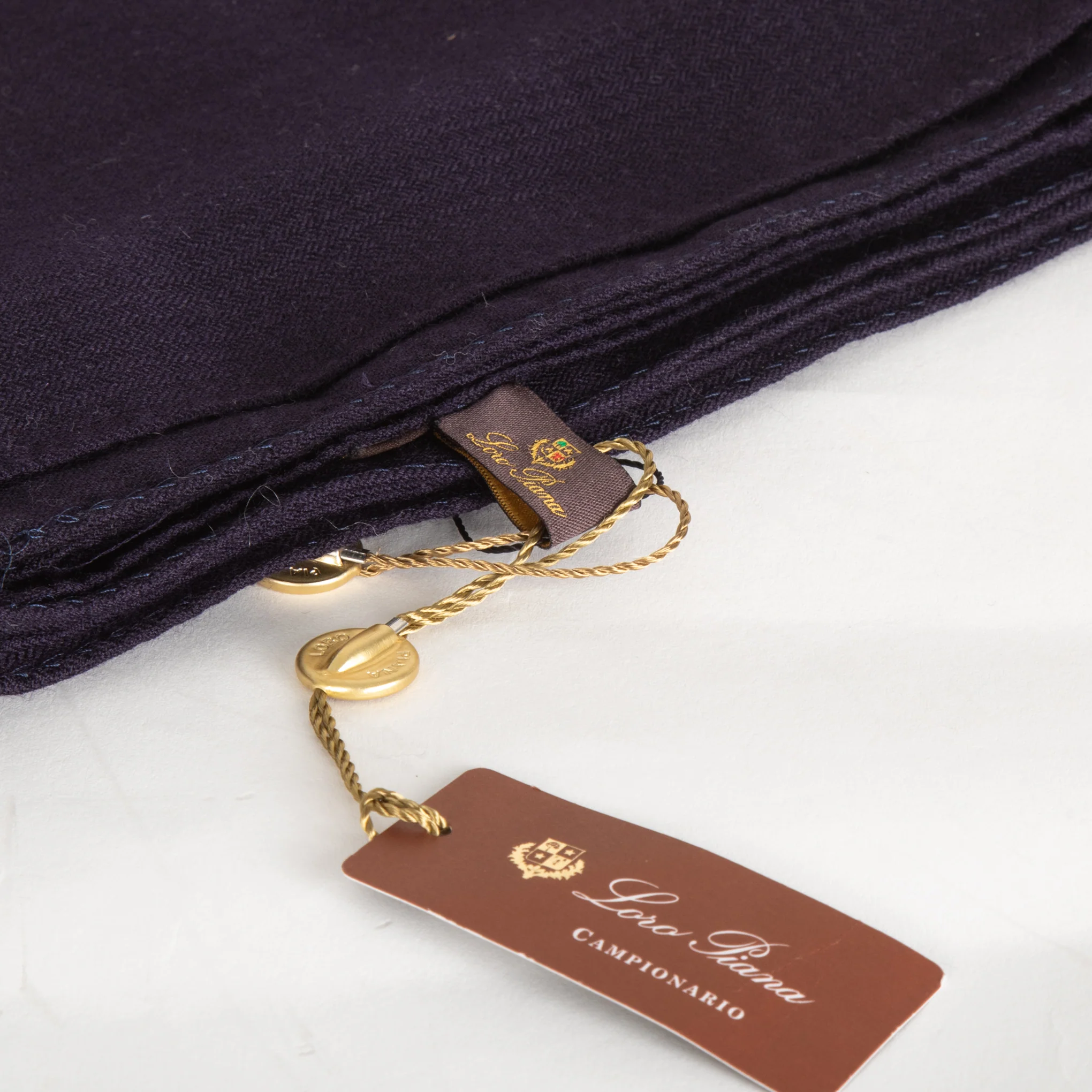 Loro Piana Indigo Cashmere Woven Scarf - Image 2