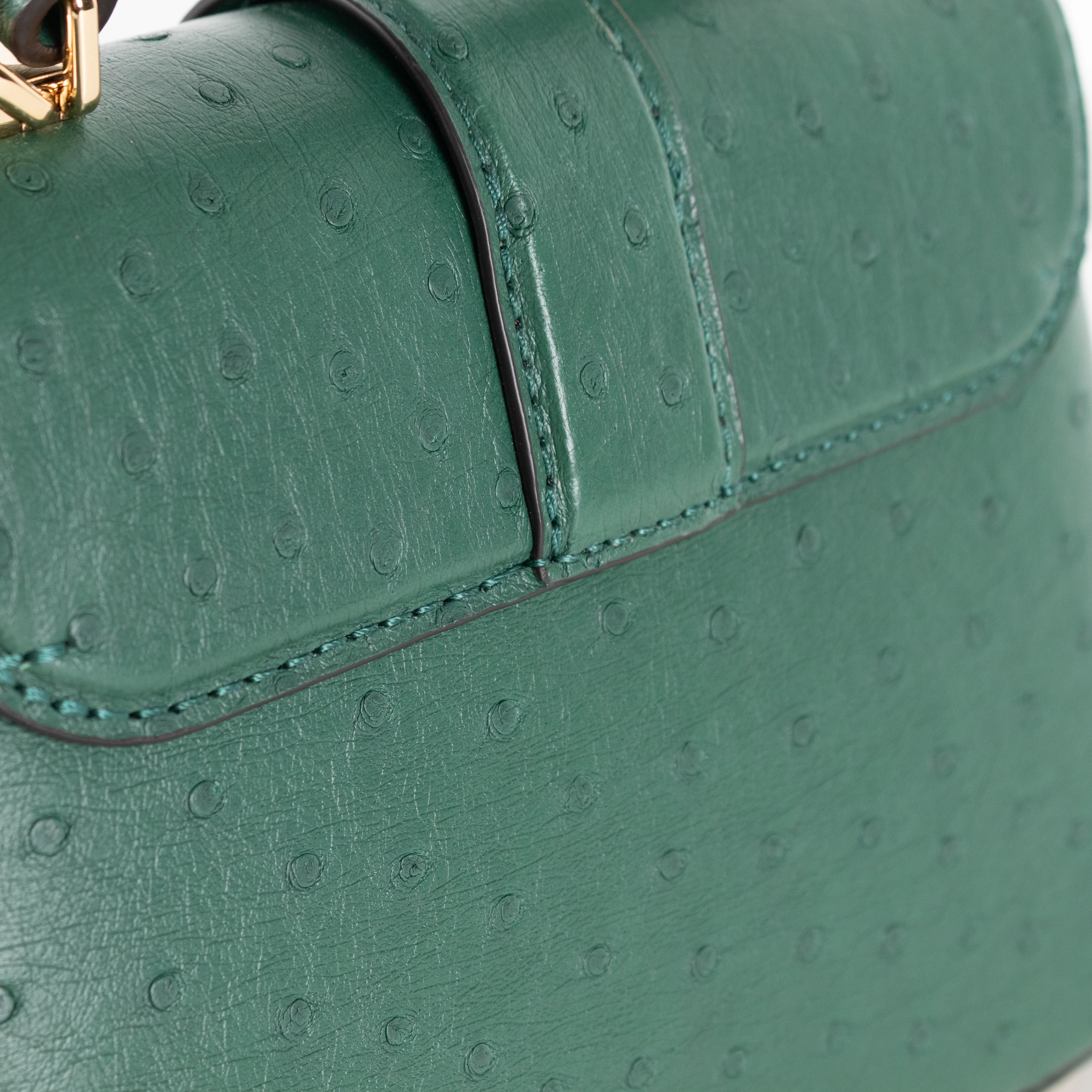 Louis Vuitton Green Ostrich Leather Rose Des Vents Mini Bag - Image 14