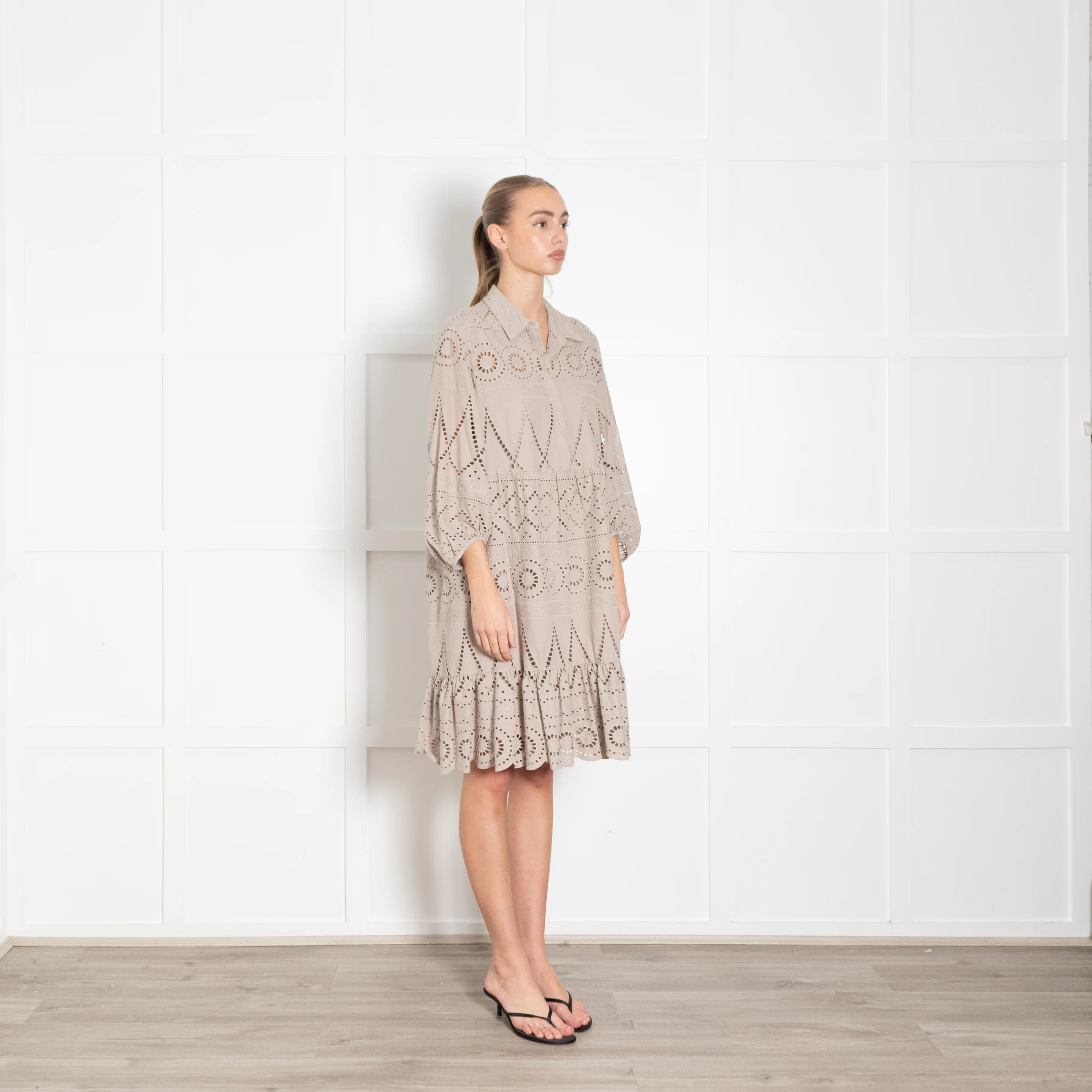 Luisa Cerano Taupe Broderie Short Dress - Image 7