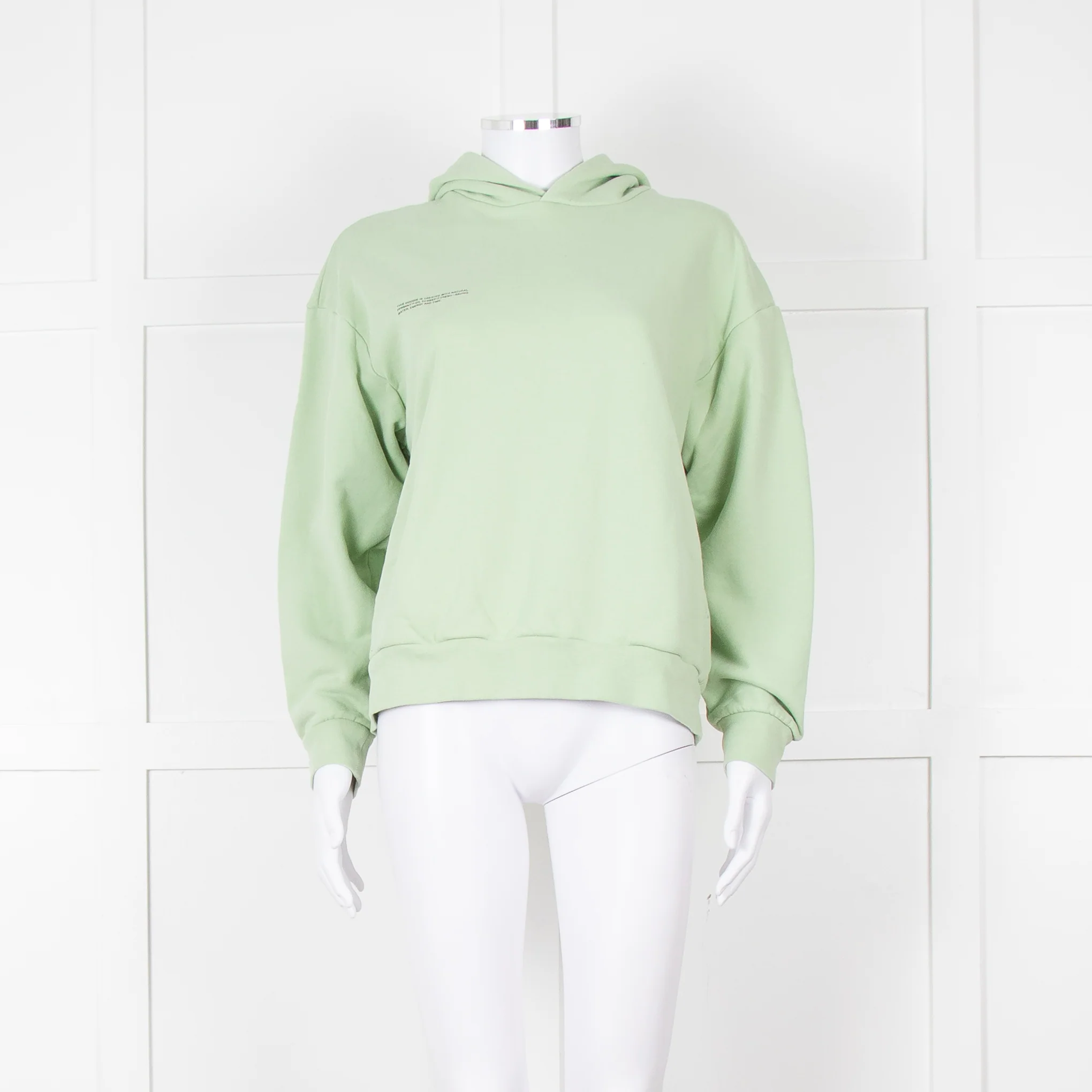 Pangaia Pale Green Hooded Sweatshirt